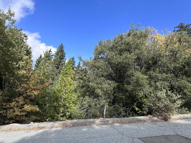 0 Round Robin, Idyllwild CA: https://media.crmls.org/mediaz/47546373-7c4d-4aac-9776-b2627cdba966.jpg