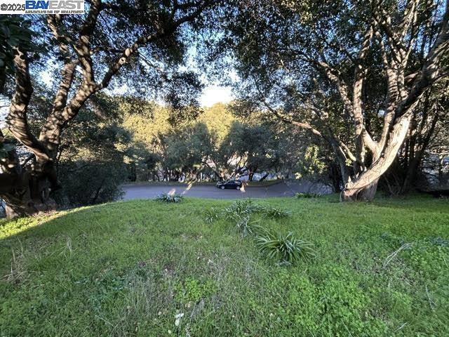 0 Morse Ave, Hayward CA: https://media.crmls.org/mediaz/4758c98b-b023-49f3-92f1-49c1f3f2f423.jpg