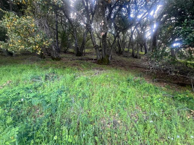 5390 Little Uvas Road, Morgan Hill CA: https://media.crmls.org/mediaz/4766e311-335d-4022-9f81-b8d71dd699bd.jpg
