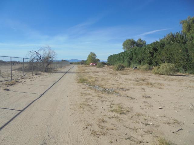 654 Riviera Dr., Blythe CA: https://media.crmls.org/mediaz/476703dc-5f66-4a8e-ba54-cdf4431f23fa.jpg