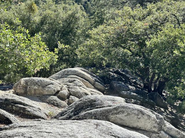 0 Mountain View, Idyllwild CA: https://media.crmls.org/mediaz/476713a7-ab87-45da-bc76-9d3c1e55a5f6.jpg