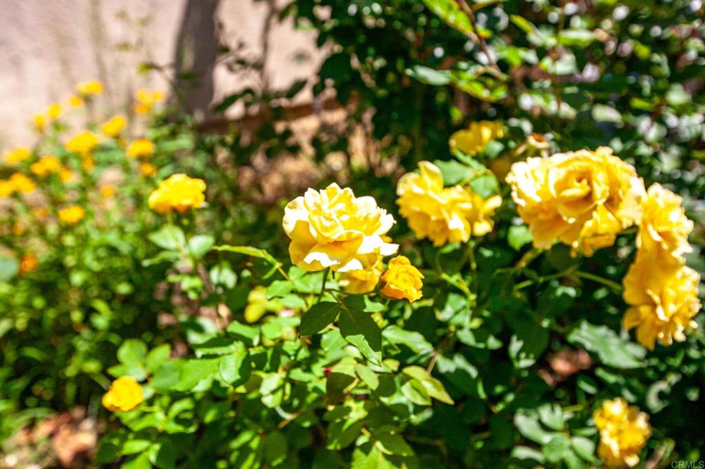 https://media.crmls.org/mediaz/476a02b6-22e6-42ca-bbec-c0d584eaa619.jpg?preset=X-Large