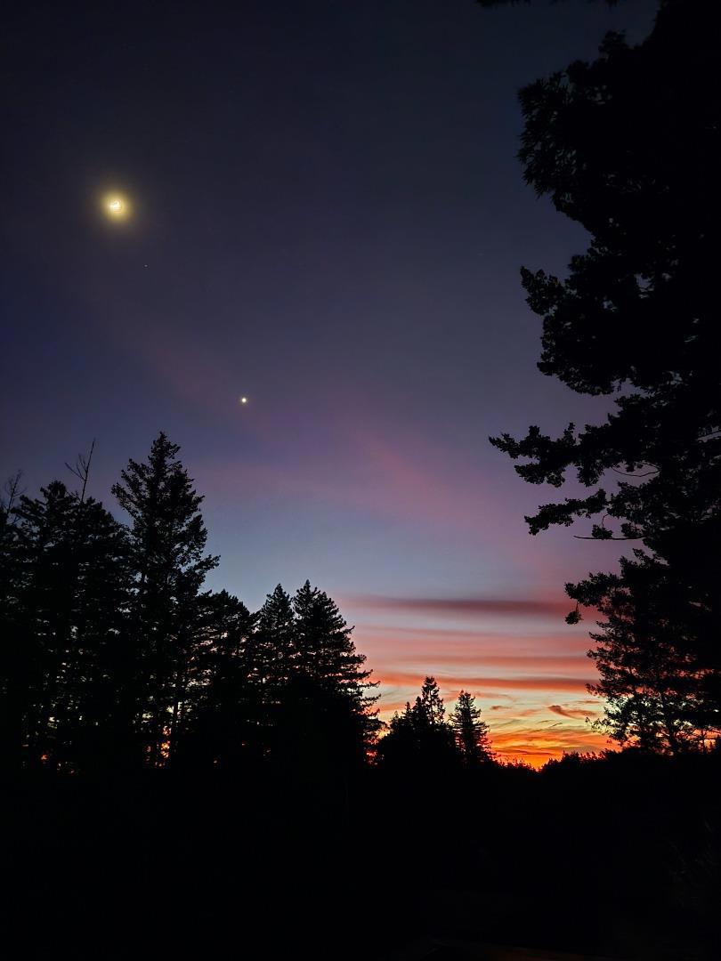 MLS #ML81990258 image #12