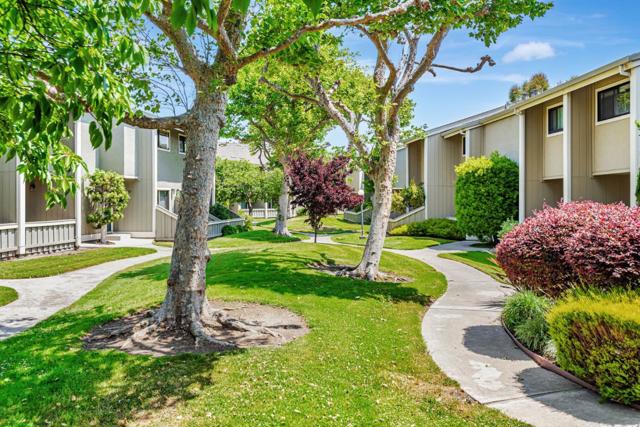 823 Perseus Lane, Foster City CA: https://media.crmls.org/mediaz/477e3315-c7c2-429e-8dc4-f77bc88bf928.jpg