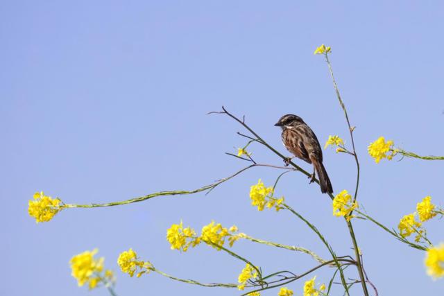 770 Limekiln Road, Hollister CA: https://media.crmls.org/mediaz/47829a6d-ecb0-4923-8ec5-8b3c8d69824d.jpg