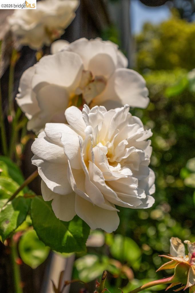 https://media.crmls.org/mediaz/478ab809-1320-4e7b-b5a7-340a79f7188f.jpg?preset=X-Large