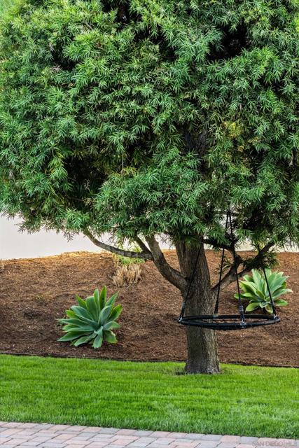 2524 Luciernaga St, Carlsbad CA: https://media.crmls.org/mediaz/47a7ebea-56e8-4d76-8431-3c5c54cf8bad.jpg