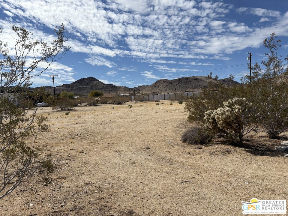 MLS #25495089PS image #6