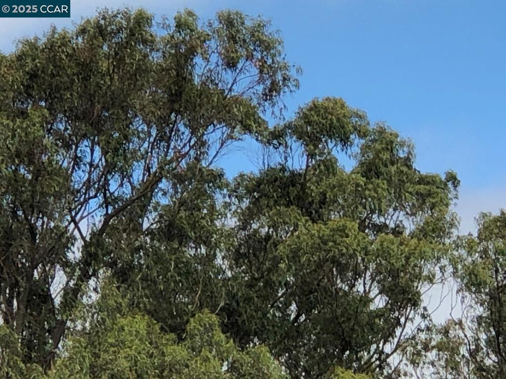 https://media.crmls.org/mediaz/47b0b256-2b63-4eb1-a0e4-1ae7967a345a.jpg?preset=X-Large