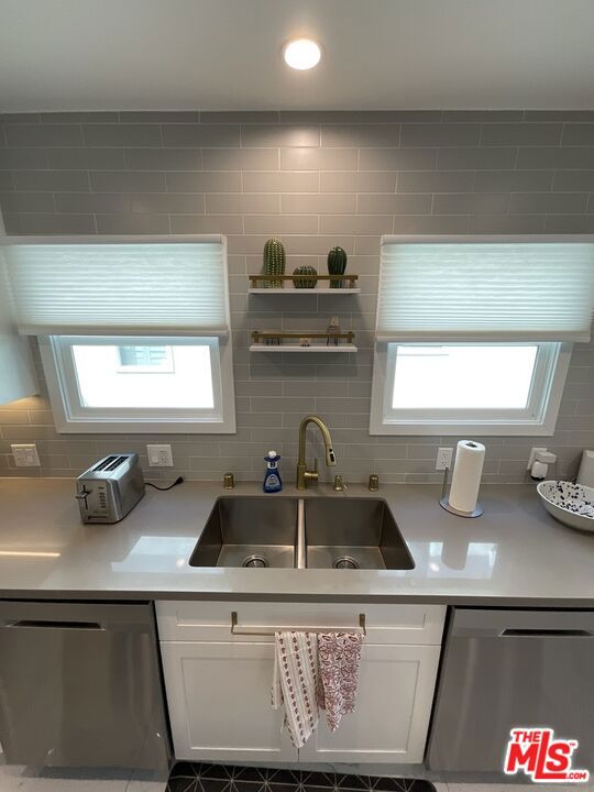 Double Stainless Sink