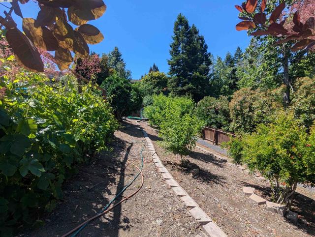 324 Merrilee Place, Danville CA: https://media.crmls.org/mediaz/47c11e57-bc25-43b4-a64d-2a9fe45c2bd3.jpg