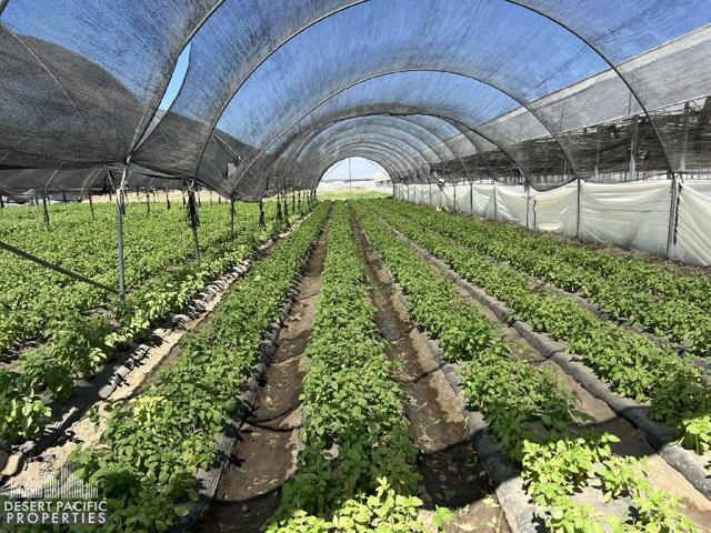 77.6 AC 78100 Harrison St, OA (4)