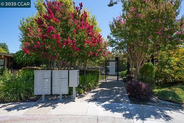 50 chief, Sacramento CA: https://media.crmls.org/mediaz/47c6fbe1-7a20-47c5-a3b8-233b100dce6c.jpg