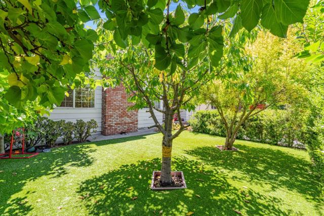 225 W Meadow Drive, Palo Alto CA: https://media.crmls.org/mediaz/47c77d0f-e5da-4157-b2f7-4b9e5e1052aa.jpg