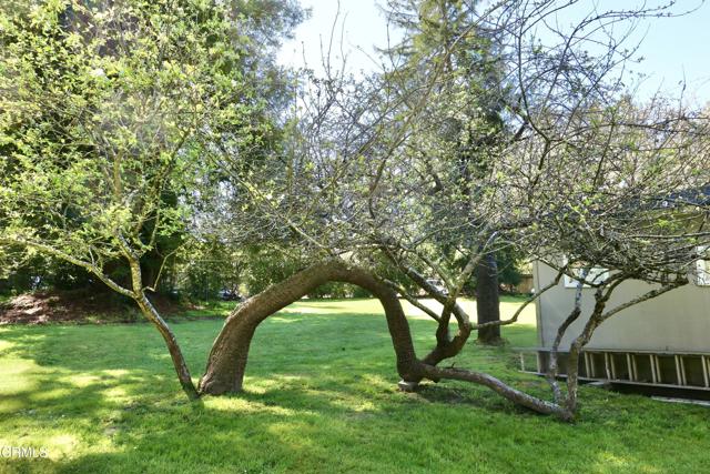 Detail Gallery Image 32 of 33 For 30860 Simpson Ln, Fort Bragg,  CA 95437 - 2 Beds | 2 Baths