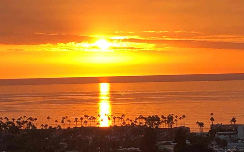 2500 Torrey Pines Road #1205