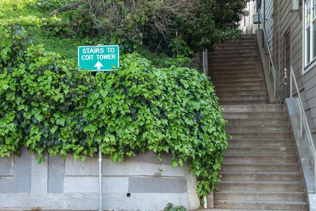 806810 Union Street, San Francisco CA: https://media.crmls.org/mediaz/47d66ce9-fe76-4df9-89bd-9646cd475cca.jpg