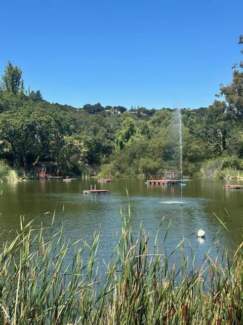 602 Vista Drive, Redwood City CA: https://media.crmls.org/mediaz/47db8763-b33e-4f94-ac88-5b0b8944e2c8.jpg