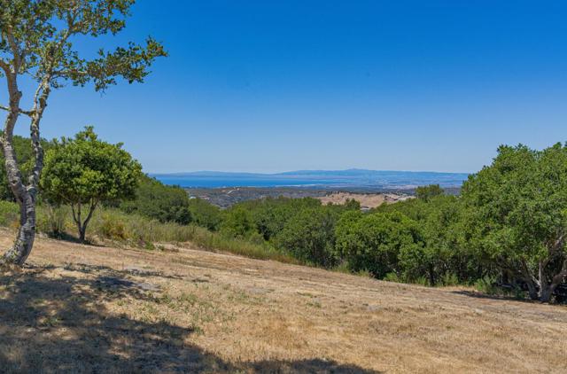 12167 Saddle Road, Carmel Valley CA: https://media.crmls.org/mediaz/47e2355b-c755-4cc7-8afa-ed817b52d4b0.jpg