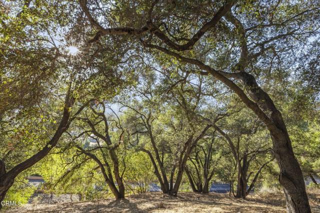 Detail Gallery Image 48 of 49 For 10920 Ventura Ave, Oak View,  CA 93022 - 3 Beds | 4 Baths