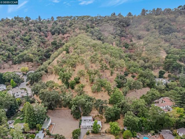 2435 Lunada Ln, Alamo CA: https://media.crmls.org/mediaz/47ede36f-3e54-4b68-be61-ace1c6caa9cd.jpg