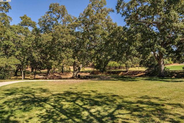 1001 Crellin Rd, Pleasanton CA: https://media.crmls.org/mediaz/47eeec2b-b25c-4e4b-a294-0b4221e7bab2.jpg