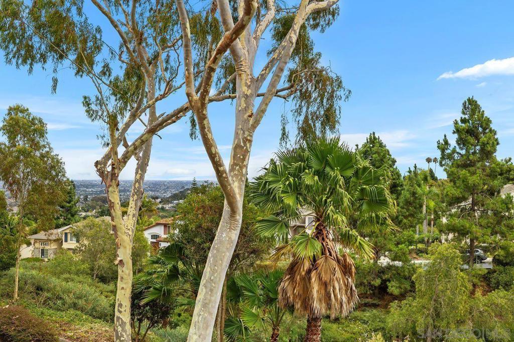 2509 Caminito Muirfield - photo 20
