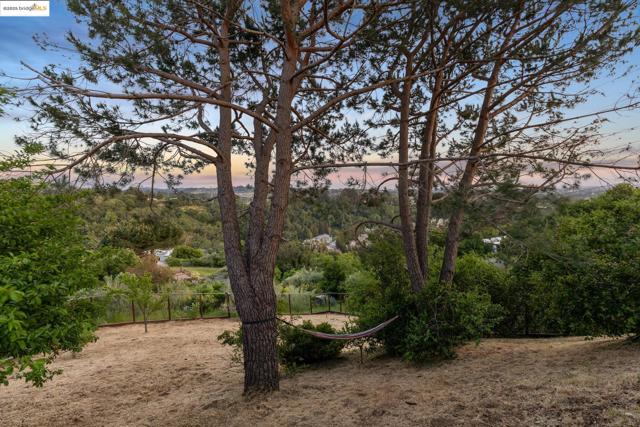 5345 Crown Ct, Castro Valley CA: https://media.crmls.org/mediaz/47f61b40-7044-4dfa-9461-a32d669510fe.jpg
