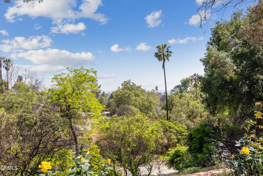 1437 Crest DriveAltadena img 19