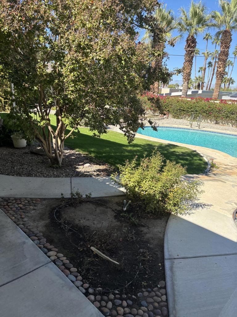 MLS #219137651DA image #4