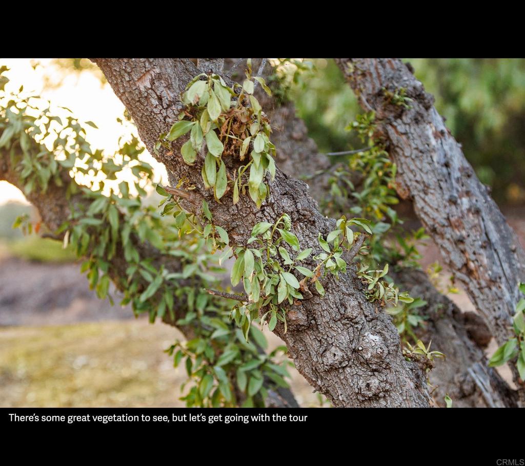 https://media.crmls.org/mediaz/480538d7-3d3c-4439-9065-713ff8884004.jpg?preset=X-Large
