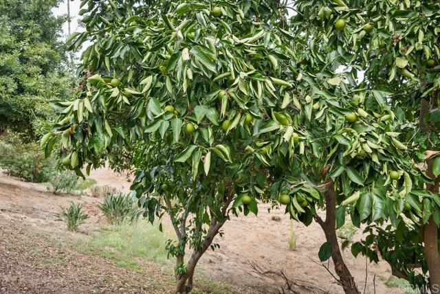 2719 Via Del Robles, Fallbrook CA: https://media.crmls.org/mediaz/4809bf0d-f6c9-4aae-a5ec-1985b3d0ed94.jpg