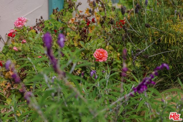 520 Barker Pass Road, Santa Barbara CA: https://media.crmls.org/mediaz/480cb81d-0aed-4505-a3be-c25da823da07.jpg