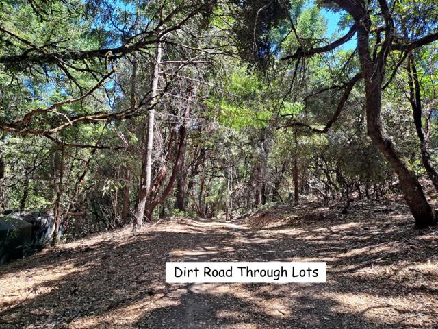 12500 Fox Run, Los Gatos CA: https://media.crmls.org/mediaz/4812d1a2-f776-4f7d-ae40-c975472166ff.jpg