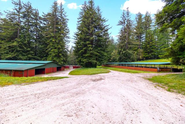 3675 Bonny Doon Road, Santa Cruz CA: https://media.crmls.org/mediaz/481767d3-6fd0-417f-86f6-6a42d95339a5.jpg