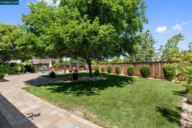 4672 N Larwin Ave, Concord CA: https://media.crmls.org/mediaz/48181150-6c16-45c9-bb7c-1cc75bd3dff4.jpg