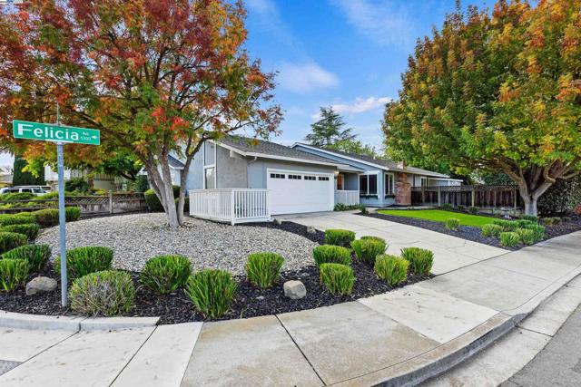 5285 Felicia Ave, Livermore CA: https://media.crmls.org/mediaz/481a1a20-4f3d-452e-8df6-b900d09223a8.jpg