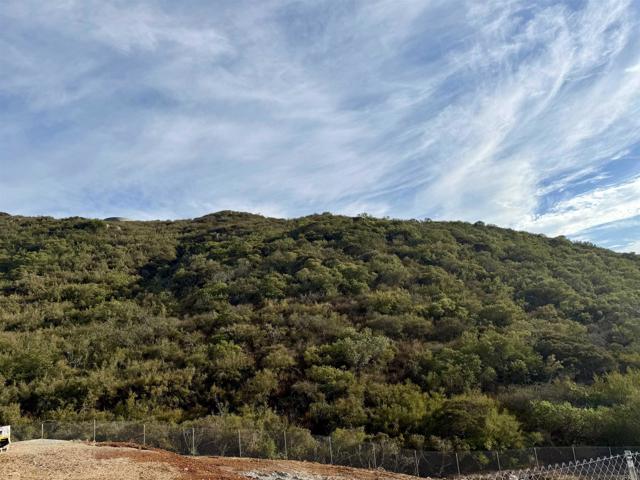 Detail Gallery Image 24 of 28 For Rainbow Glen Rd, Fallbrook,  CA 92028 - – Beds | – Baths
