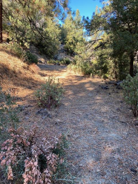 Image 3 for 0 Lakeview Dr, Idyllwild, CA 92549