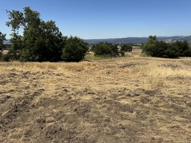 0 Mira Lagos Drive, Morgan Hill CA: https://media.crmls.org/mediaz/48480437-0925-466c-816f-fe200bea18ee.jpg