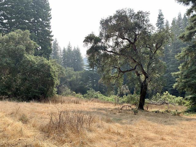 0 Two Bar Road, Boulder Creek CA: https://media.crmls.org/mediaz/4851cab6-921d-430e-bbb0-be3bb856ade3.jpg