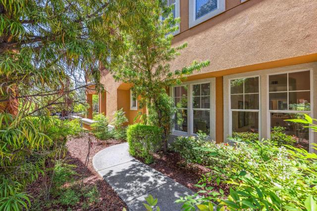 5365 SILVER KNOLL Court, San Jose CA: https://media.crmls.org/mediaz/4857a531-0abf-49dc-8097-35b07882e8ff.jpg