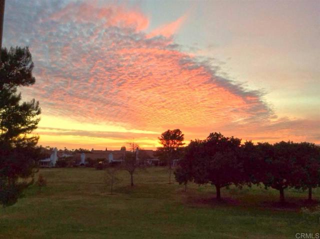 Detail Gallery Image 15 of 33 For 4913 Alicante Way, Oceanside,  CA 92056 - 2 Beds | 2 Baths