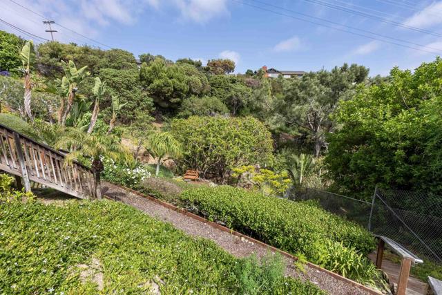 951 Skylark Dr, La Jolla CA: https://media.crmls.org/mediaz/4875b8e3-2b7f-4dc4-a661-3954f046d8e9.jpg
