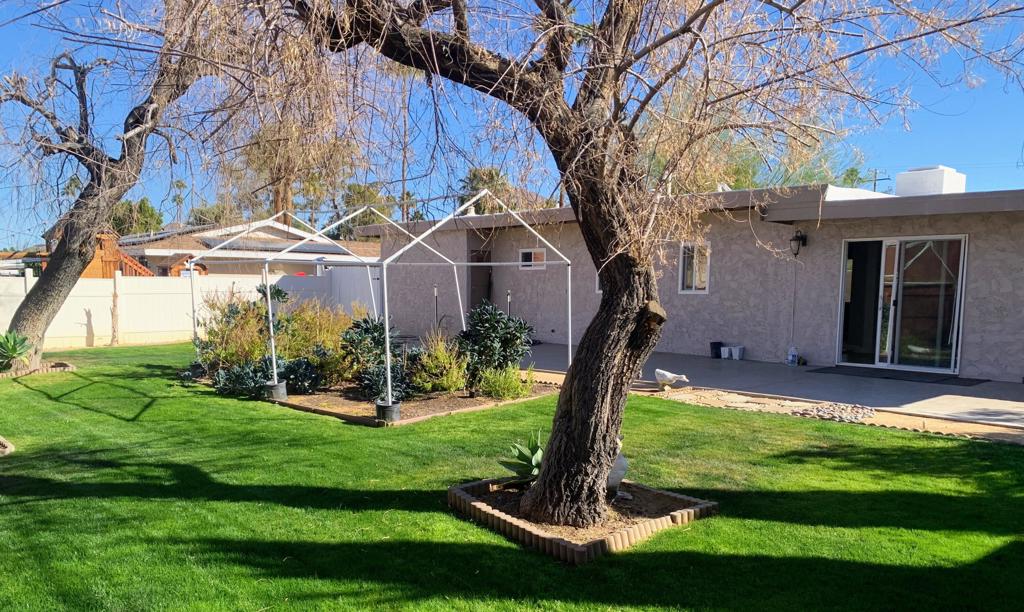 MLS #219131225DA img 11