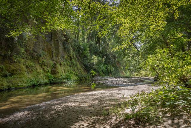 3714 Purling Brook, Soquel CA: https://media.crmls.org/mediaz/4880dffe-2d35-4cb4-bf12-9d11a76452b3.jpg