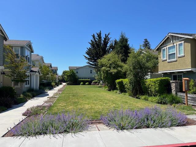 1020 Rodriguez Street, Santa Cruz CA: https://media.crmls.org/mediaz/488a8cd1-198f-4d7e-b07f-f4b91f4d60c2.jpg
