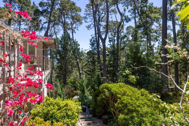 4043 Costado Road, Pebble Beach CA: https://media.crmls.org/mediaz/4894abd6-8215-4e2d-b7fa-4ca61a2ce245.jpg