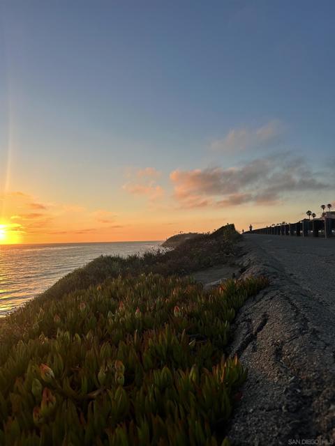 1709 Somerset Ave, Cardiff by the Sea CA: https://media.crmls.org/mediaz/48970987-08c8-4af4-a8c7-6aeaf919871e.jpg