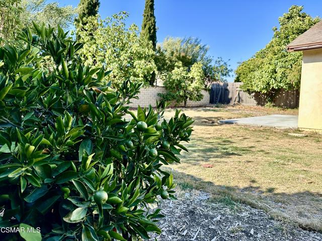 8123 Tiara Street, Ventura CA: https://media.crmls.org/mediaz/48ac36e6-2b45-4809-b9be-00a1318425d7.jpg